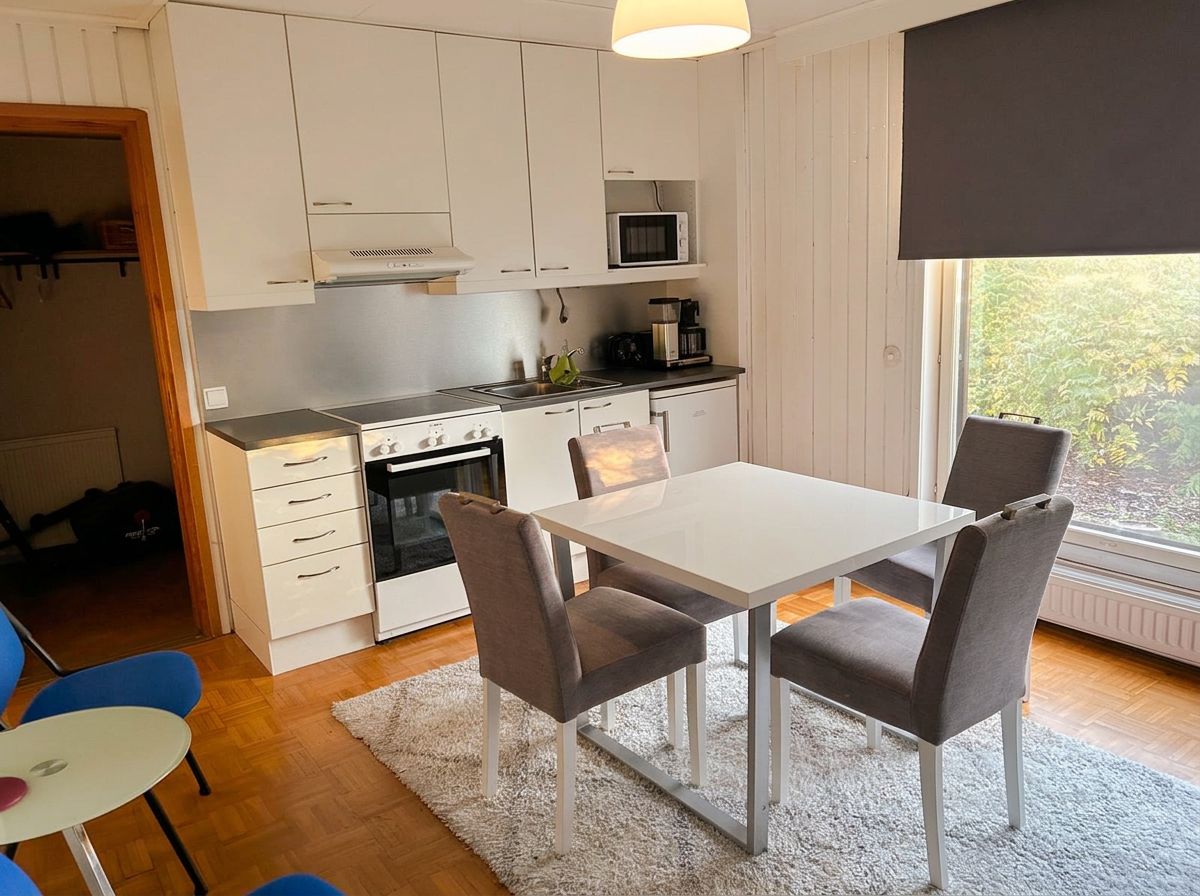 Yksiön toimiva keittiö omine kodinkoneineen